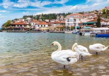 Ohrid in beeld met zwanen op de achtergrond